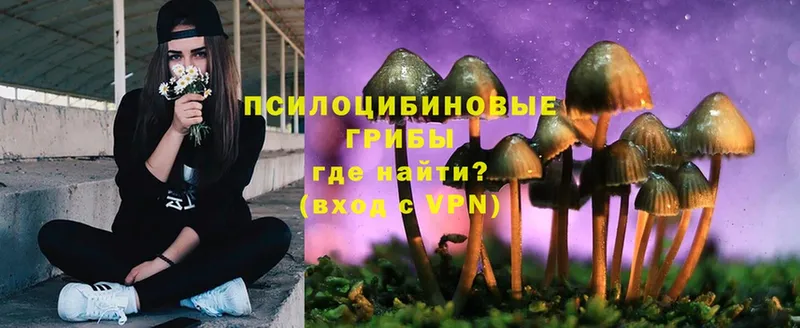 гидра онион  как найти   Заполярный  Псилоцибиновые грибы MAGIC MUSHROOMS 