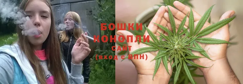 купить  сайты  Заполярный  Бошки Шишки THC 21% 